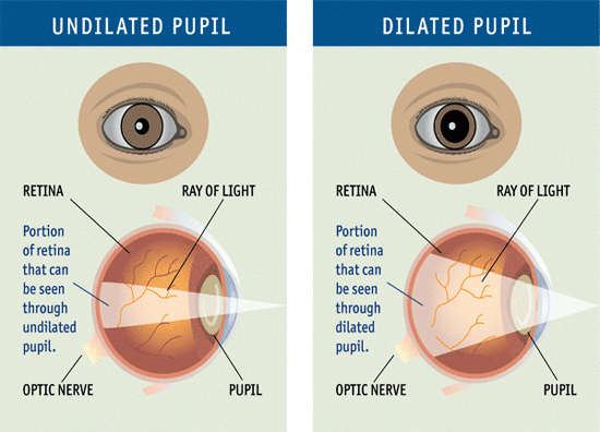 Comprehensive Eye Exams Bayshore Ophthalmology comprehensive-eye-exams-bayshore-ophthalmology